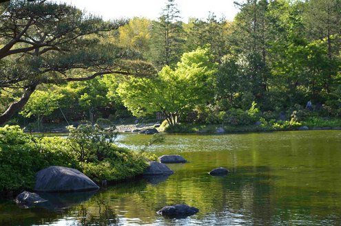 昭和記念公園　日本庭園の池.jpg