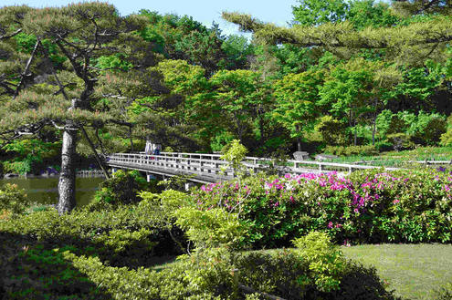 昭和記念公園　日本庭園.jpg